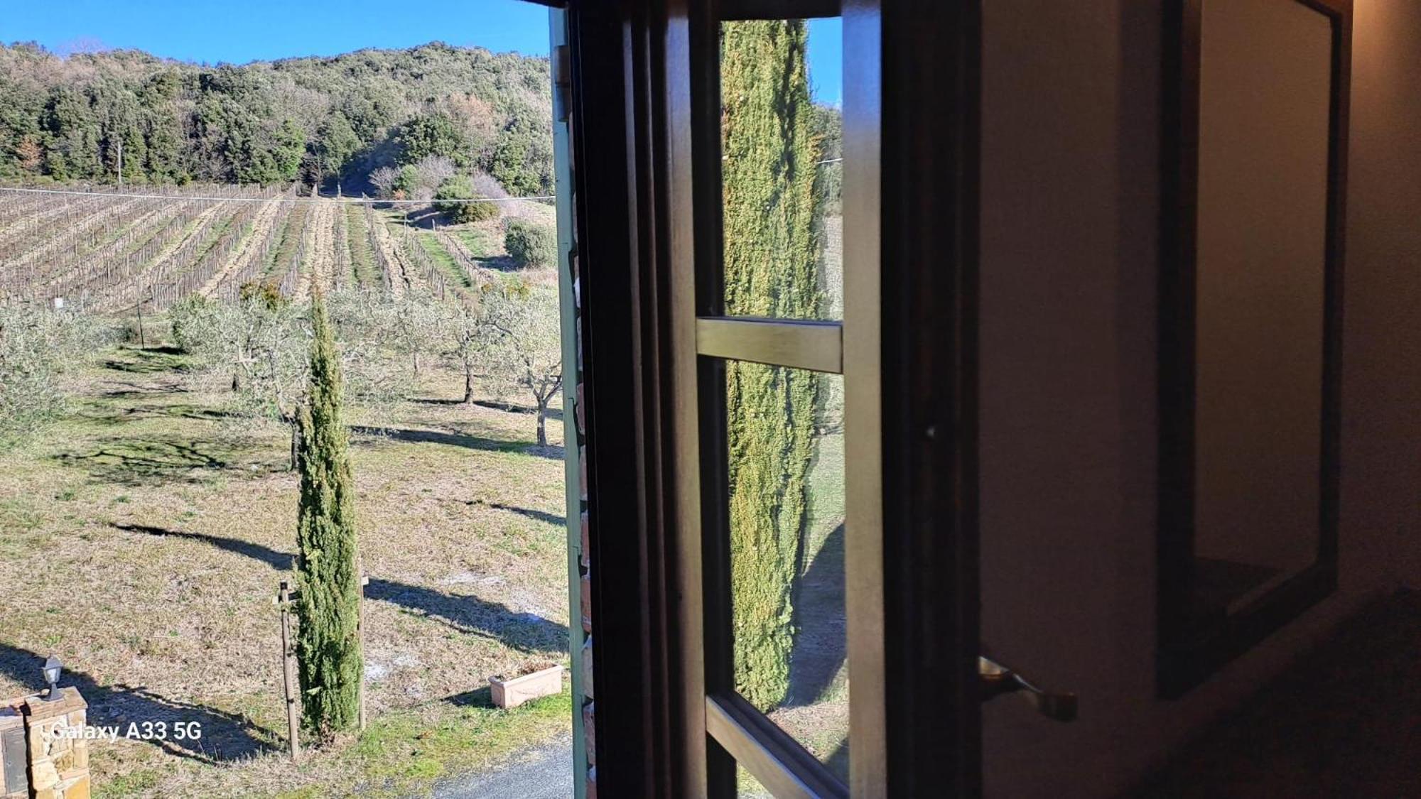 Podere Oliveta Montecatini Val di Cecina Dış mekan fotoğraf