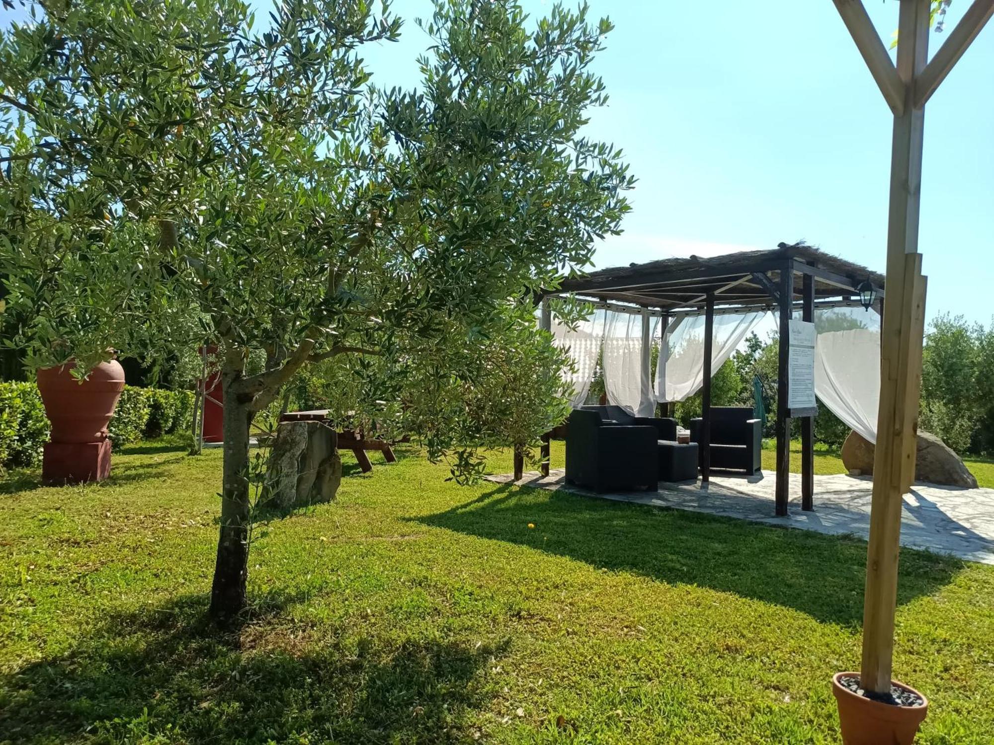 Podere Oliveta Montecatini Val di Cecina Dış mekan fotoğraf