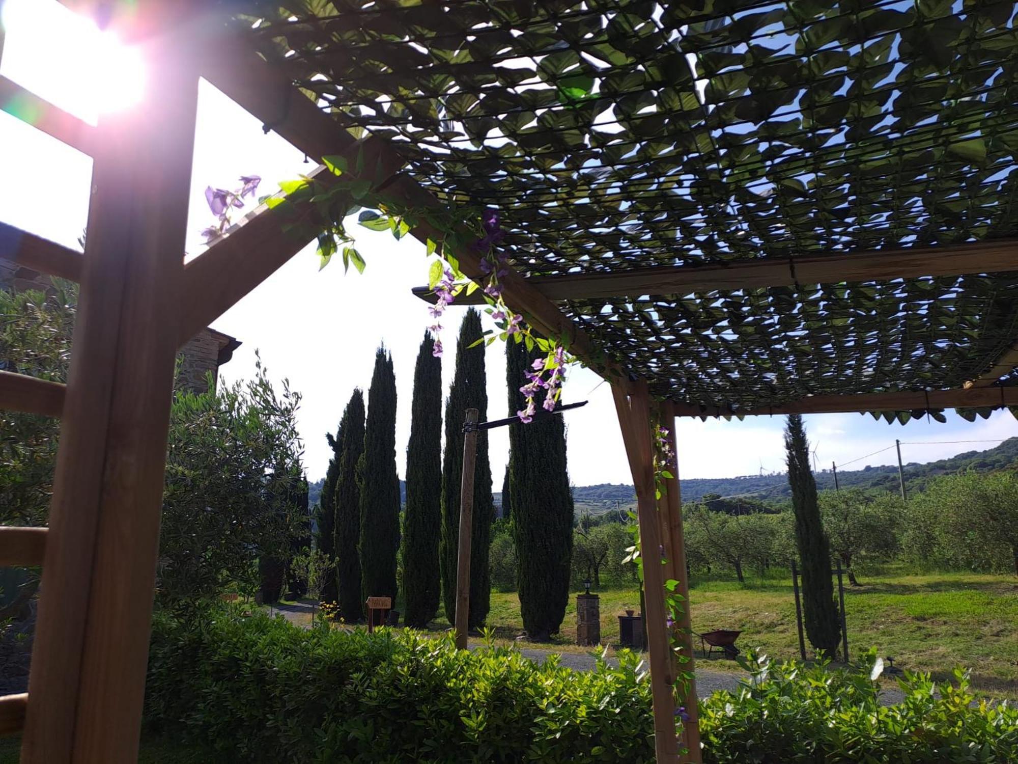 Podere Oliveta Montecatini Val di Cecina Dış mekan fotoğraf