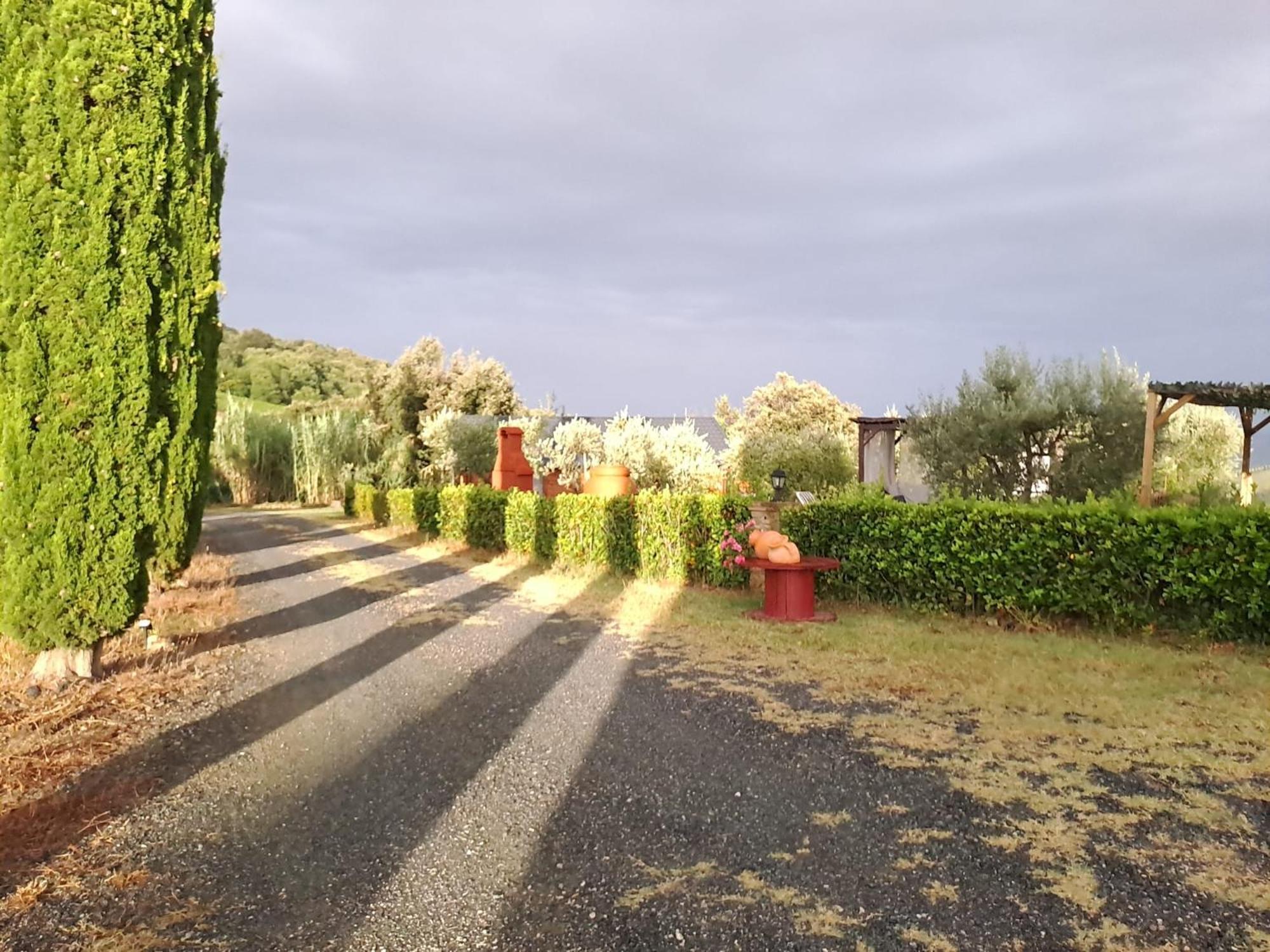 Podere Oliveta Montecatini Val di Cecina Dış mekan fotoğraf